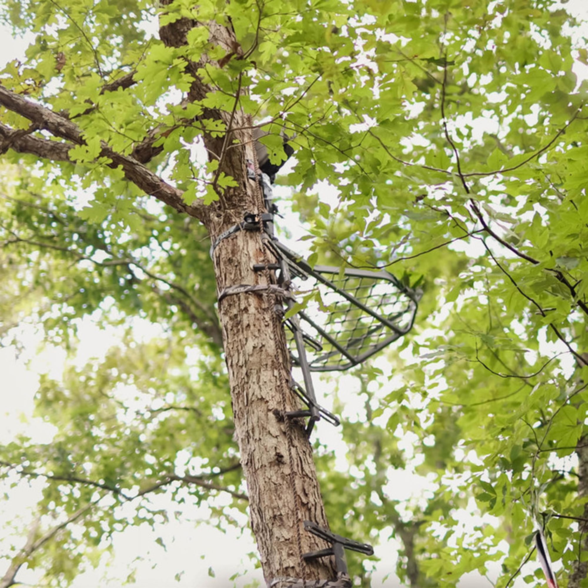 Hawk Ultra Lite Hang-On provides a quiet step design for stealthy movement.