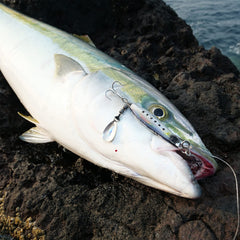 FS417 asymmetrical hologram blade enhances action on curved falls