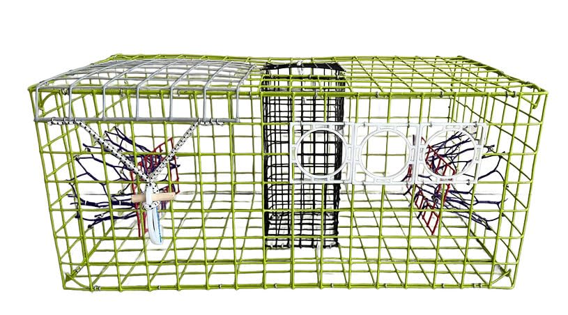 Heavy Duty Florida Quarter Crab Trap – front view