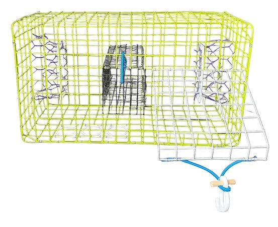 Crab trap with 2x6 TED turtle exclusion devices and XL baitwell