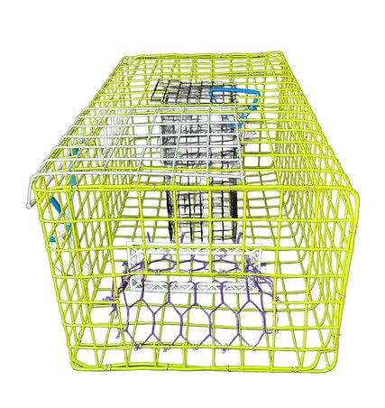 Close-up of PVC-coated galvanized wire frame and hooks on the Florida Trophy Fishing crab trap