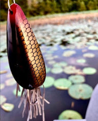 Heddon Moss Boss lure glides over moss cover to provoke aggressive strikes