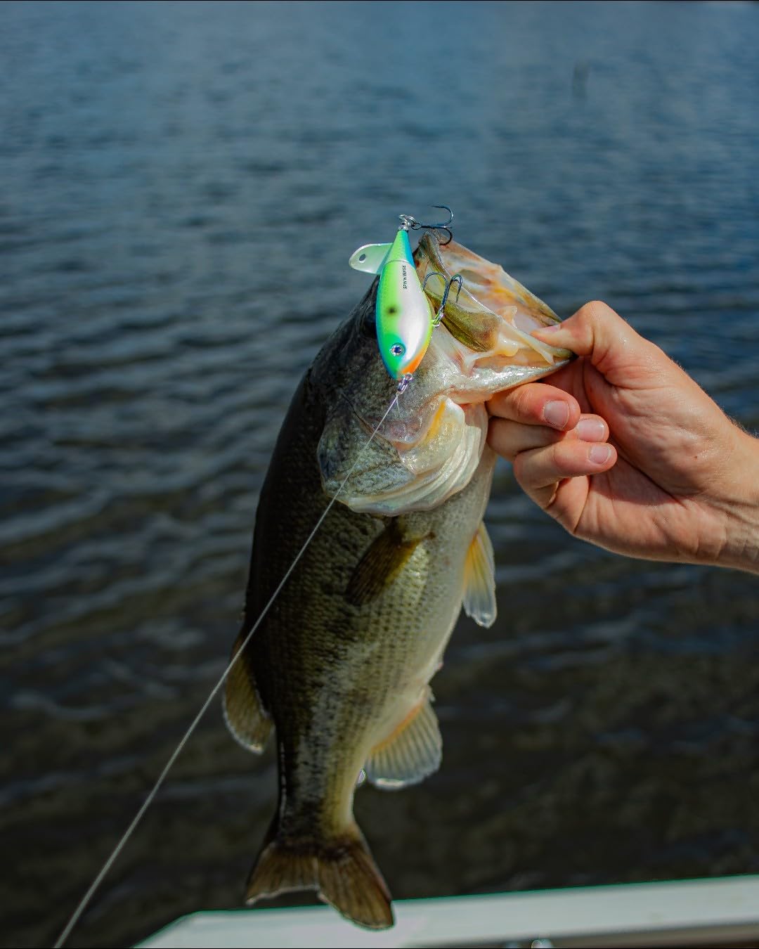 Heddon Spin'N Image bass-chase visuals invite strikes from wary fish.