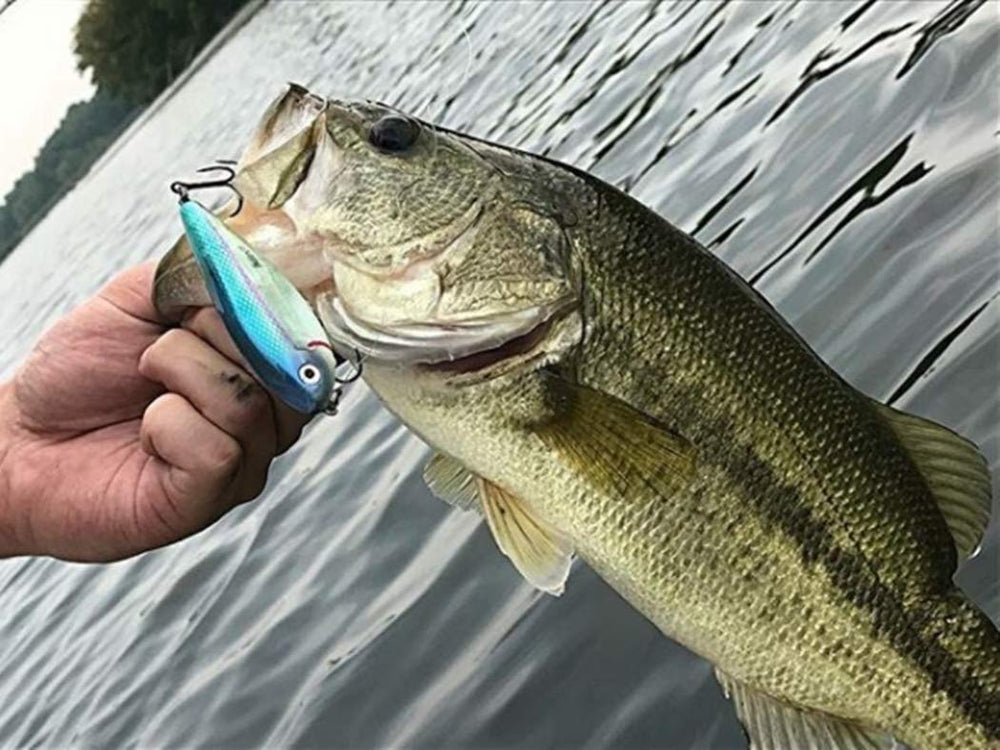 Heddon Spit'n Image retrieval action illustrating side-to-side wobble for erratic lure profiles.