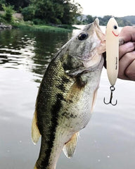 Heddon Super Spook Jr. blue chrome side view showcases rugged hardware built to last.