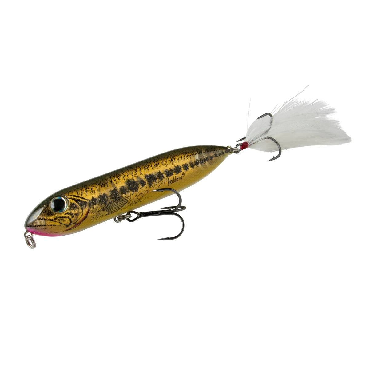 Heddon Super Zara Spook front view shows its silent walk-the-dog action for bass.