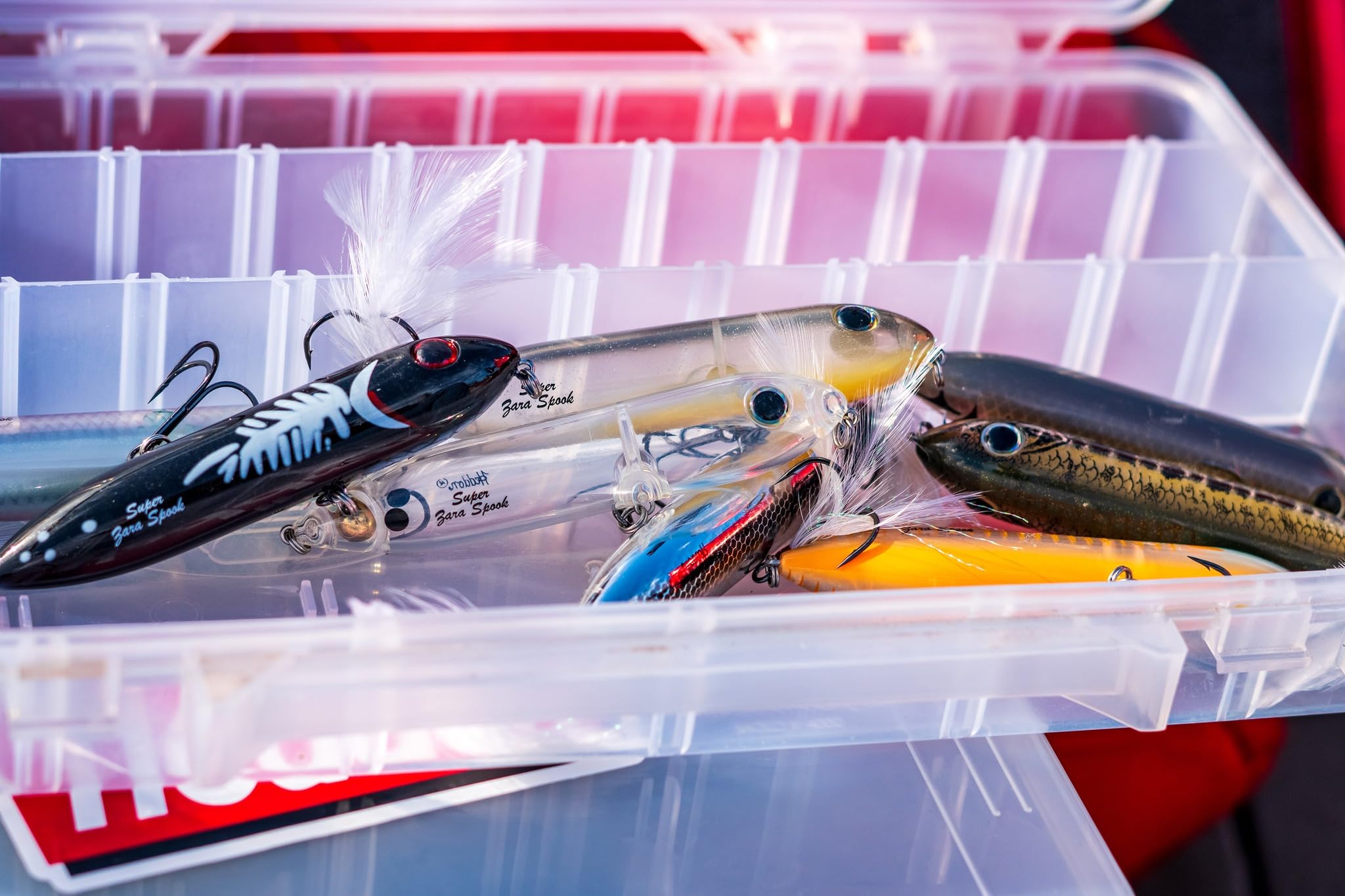 Heddon Super Zara Spook Rupture 4.5 inch packaging and display shot.