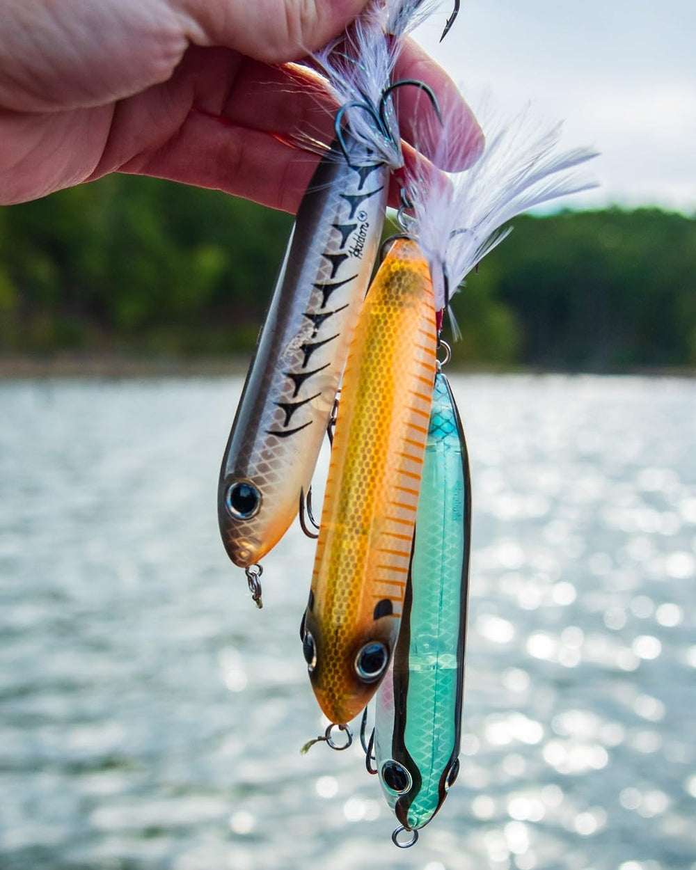 Heddon Super Zara Spook Rupture 4.5 inch top view highlighting silhouette.