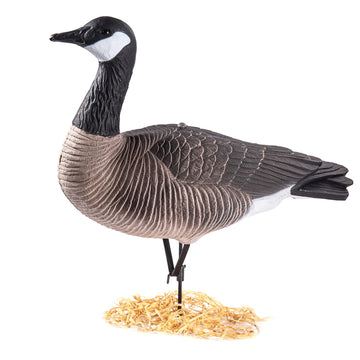 Secure stands keep Heerweiyi decoys stable in windy terrain.