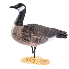 Secure stands keep Heerweiyi decoys stable in windy terrain.