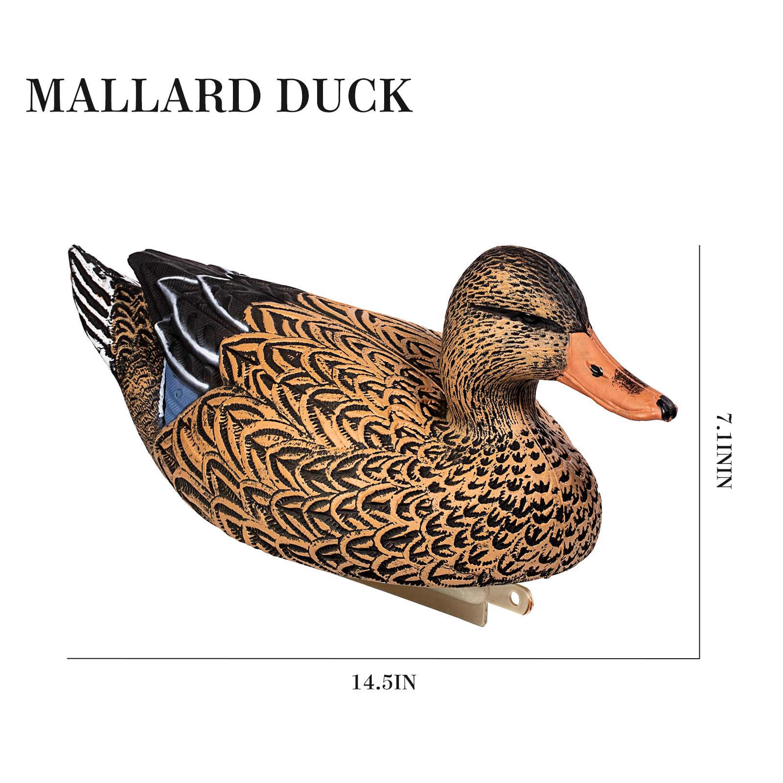 Heerweiyi durable-finish-sun-rain-mallard-decoys under weather conditions preserving detail.
