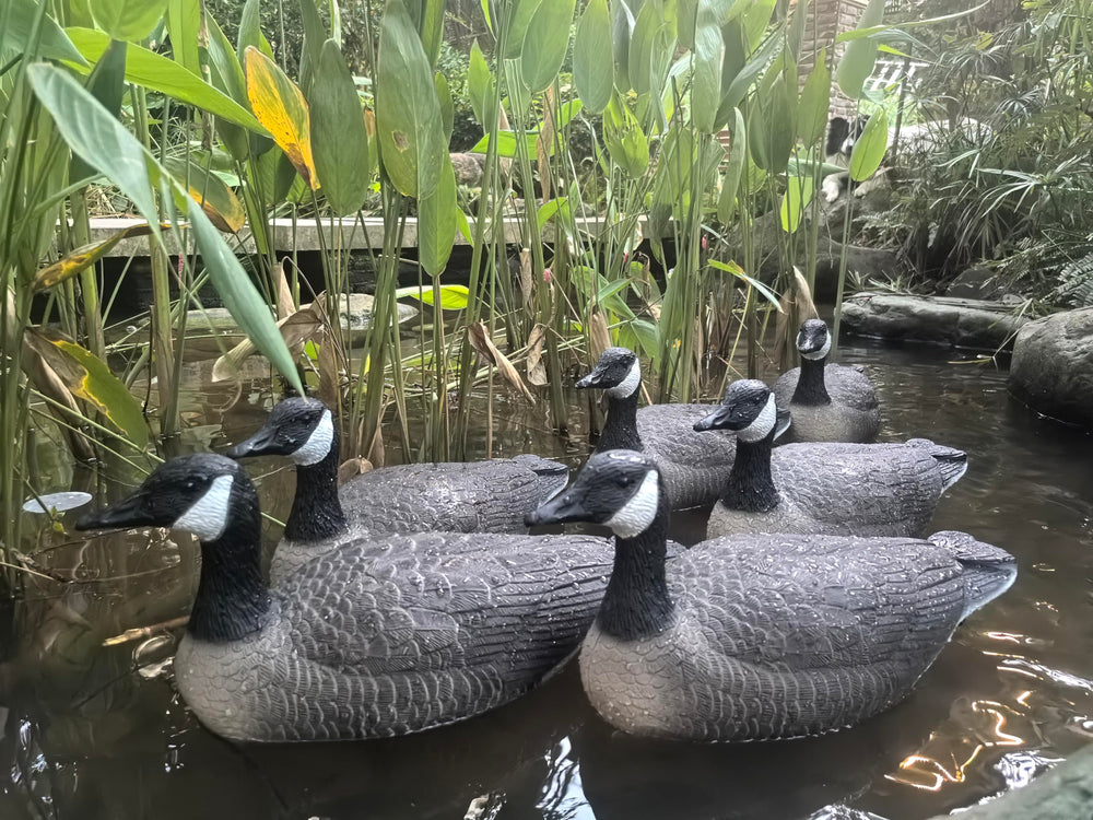 Heerweiyi Goose Decoys with carrying case for portable hunting setup