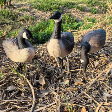 Close-up feather textures on Heerweiyi decoys boost realism during hunts.