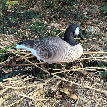 Versatile field and water use with Heerweiyi decoys enhances spread appeal.