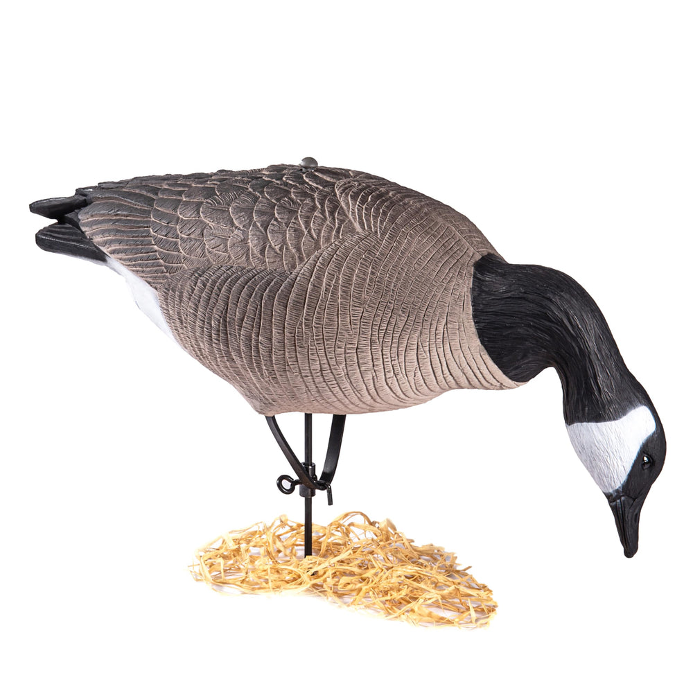 Heerweiyi goose decoys are lightweight and easy to carry for quick deployment.