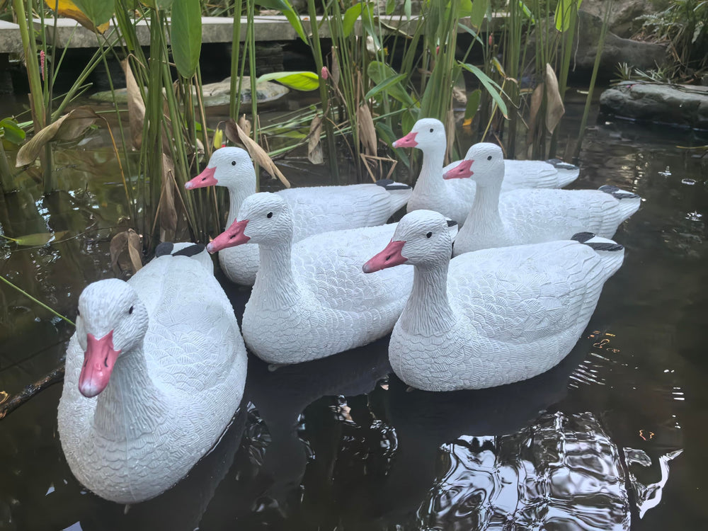 Heerweiyi goose decoys pack-6 easy-carry-storage enables portable hunting gear.