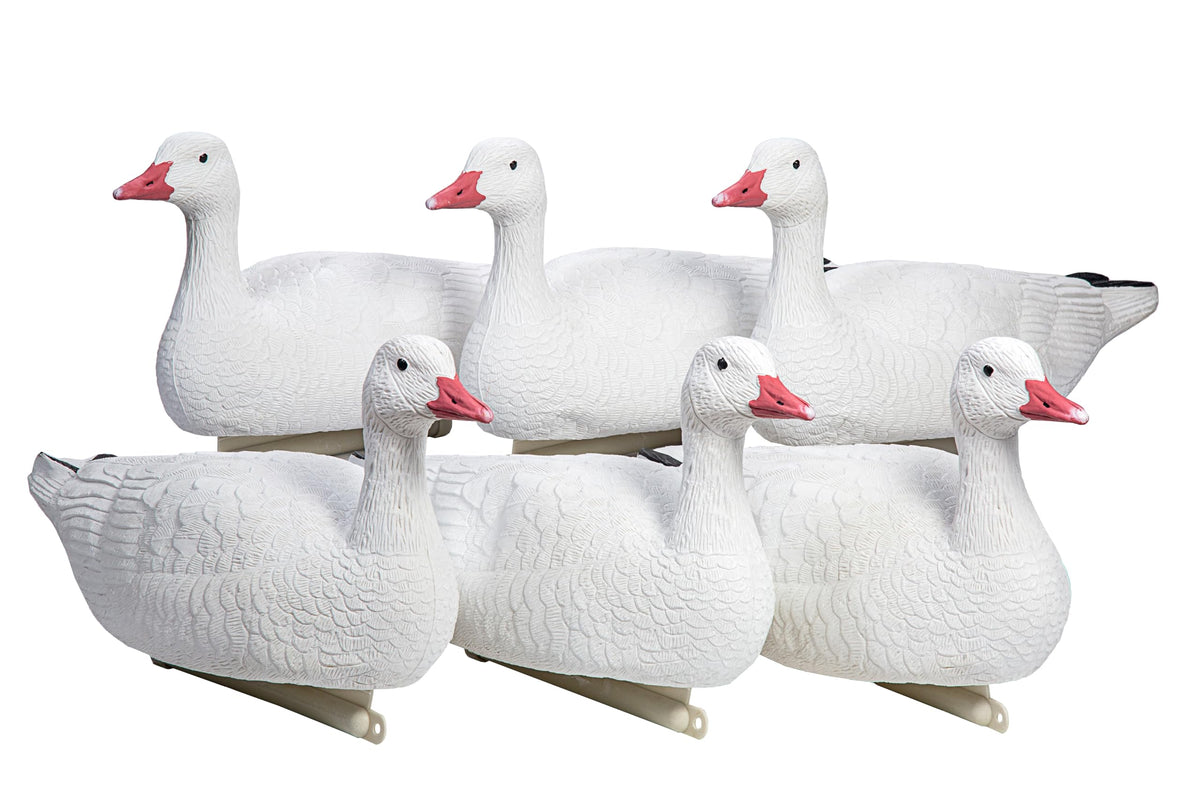 Heerweiyi goose decoys pack-6 foldable-base shows realistic plumage for convincing waterfowl setups.
