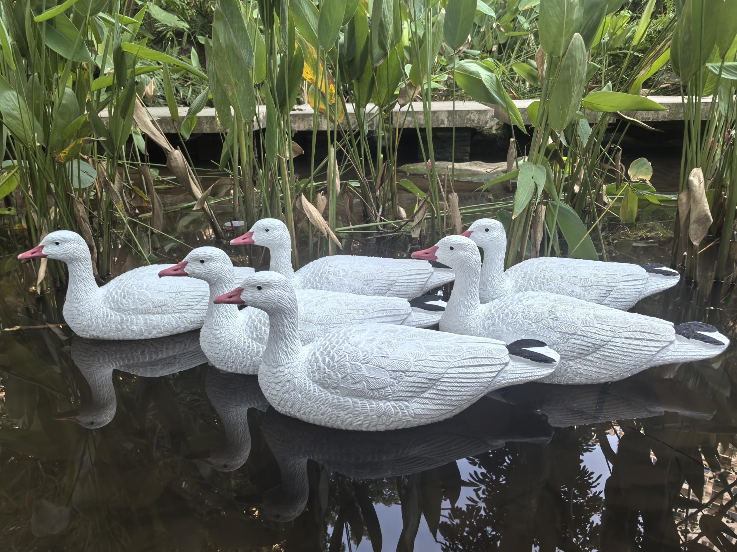 Heerweiyi goose decoys pack-6 snow-goose-floating-ready designed for lake-and-pond setups.