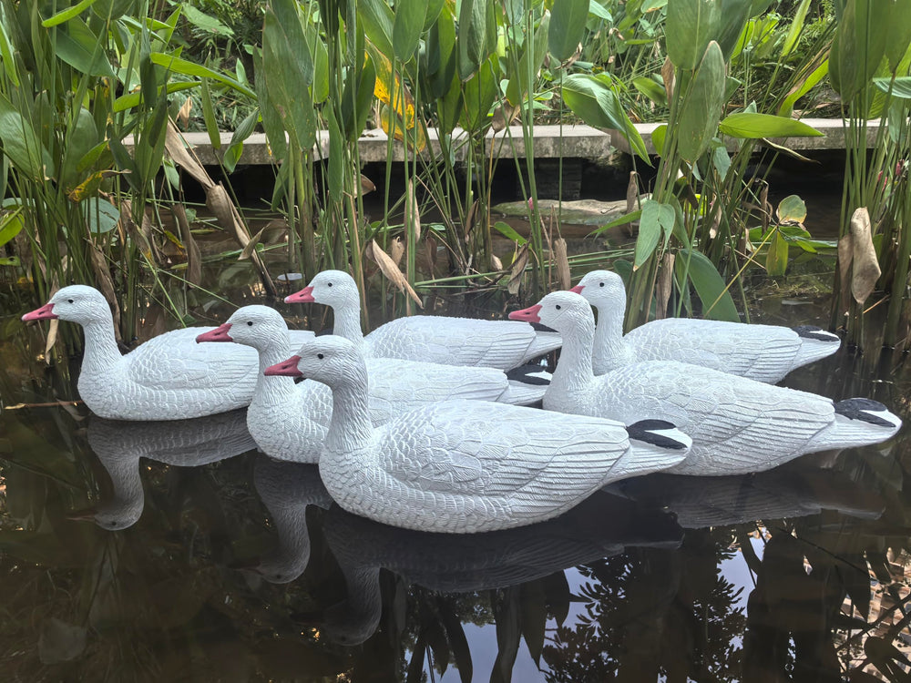 Heerweiyi goose decoys pack-6 snow-goose-floating-ready designed for lake-and-pond setups.