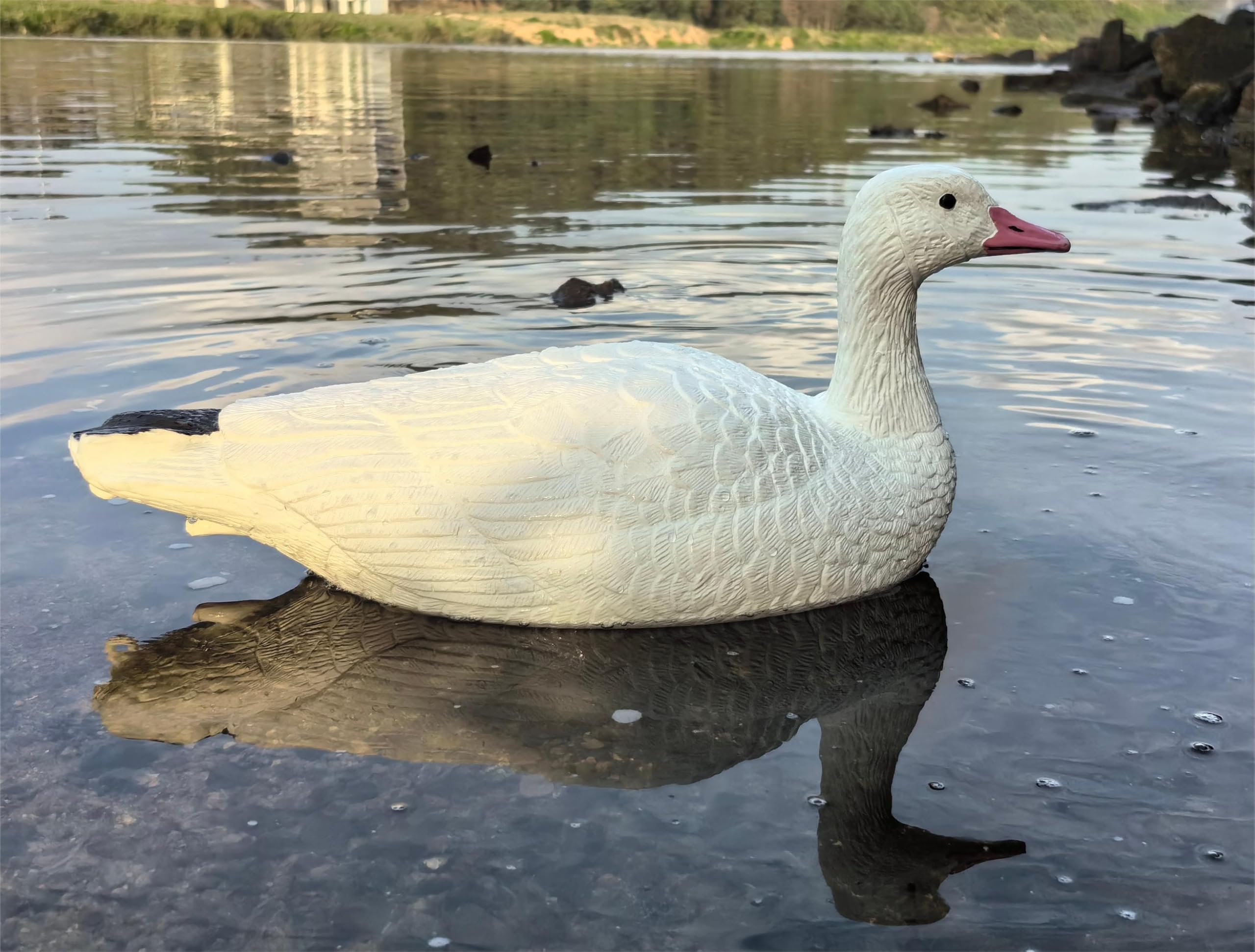 Heerweiyi goose decoys pack-6 ultra-realistic-feather-patterns enhances scouting realism in wetlands.