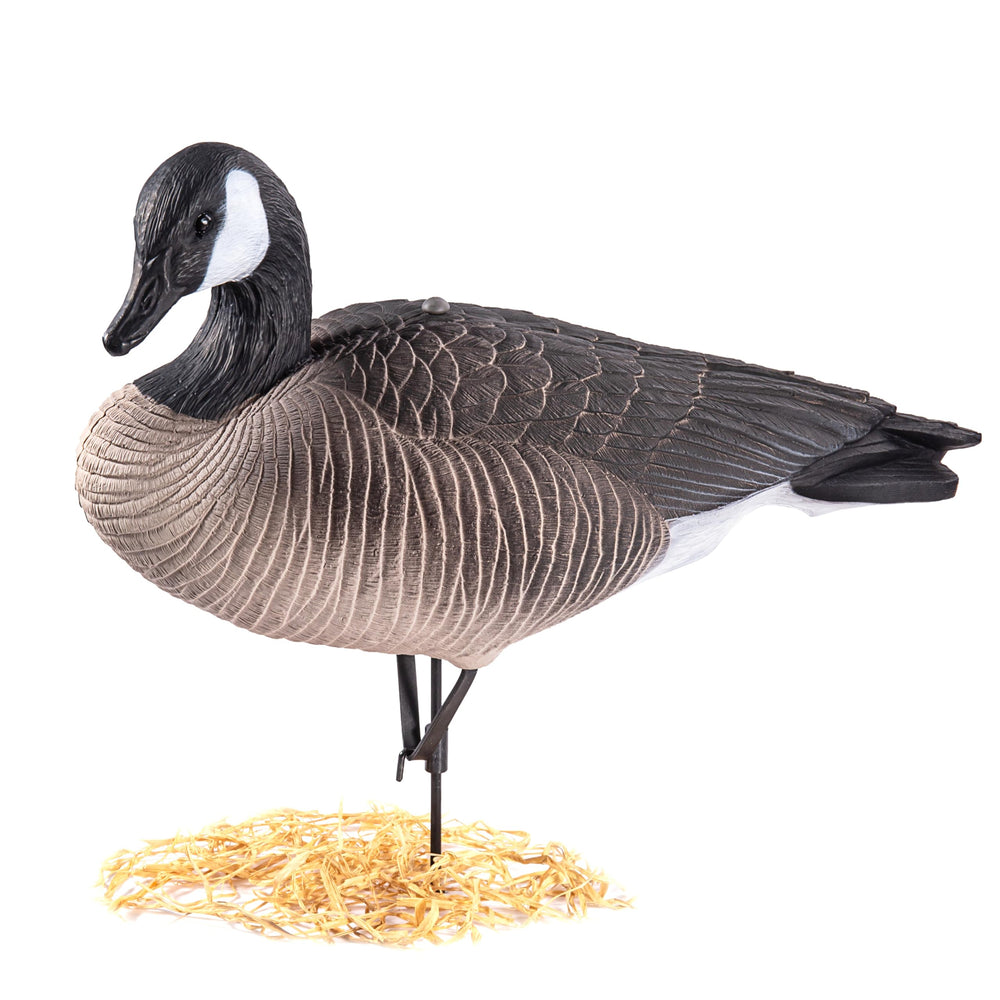 Heerweiyi decoys weather-resistant design withstands rain and wind for all-season hunts.
