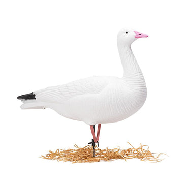 Heerweiyi snow goose decoys feeding pose inviting geese