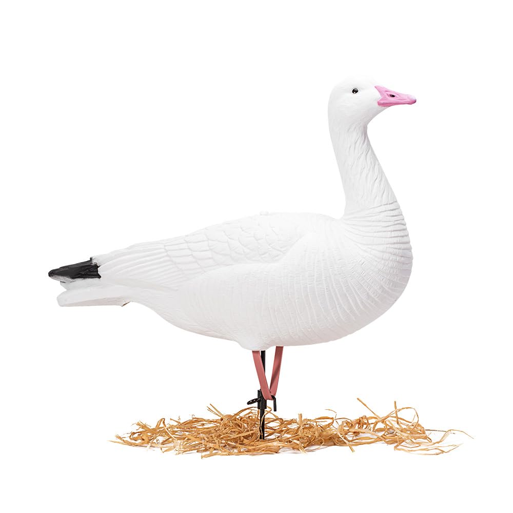 Heerweiyi snow goose decoys feeding pose inviting geese
