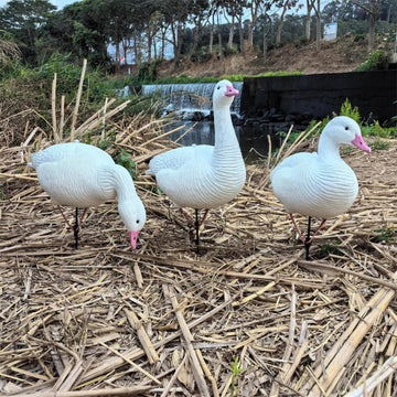 Heerweiyi snow goose decoys stable bases keep decoys upright in wind