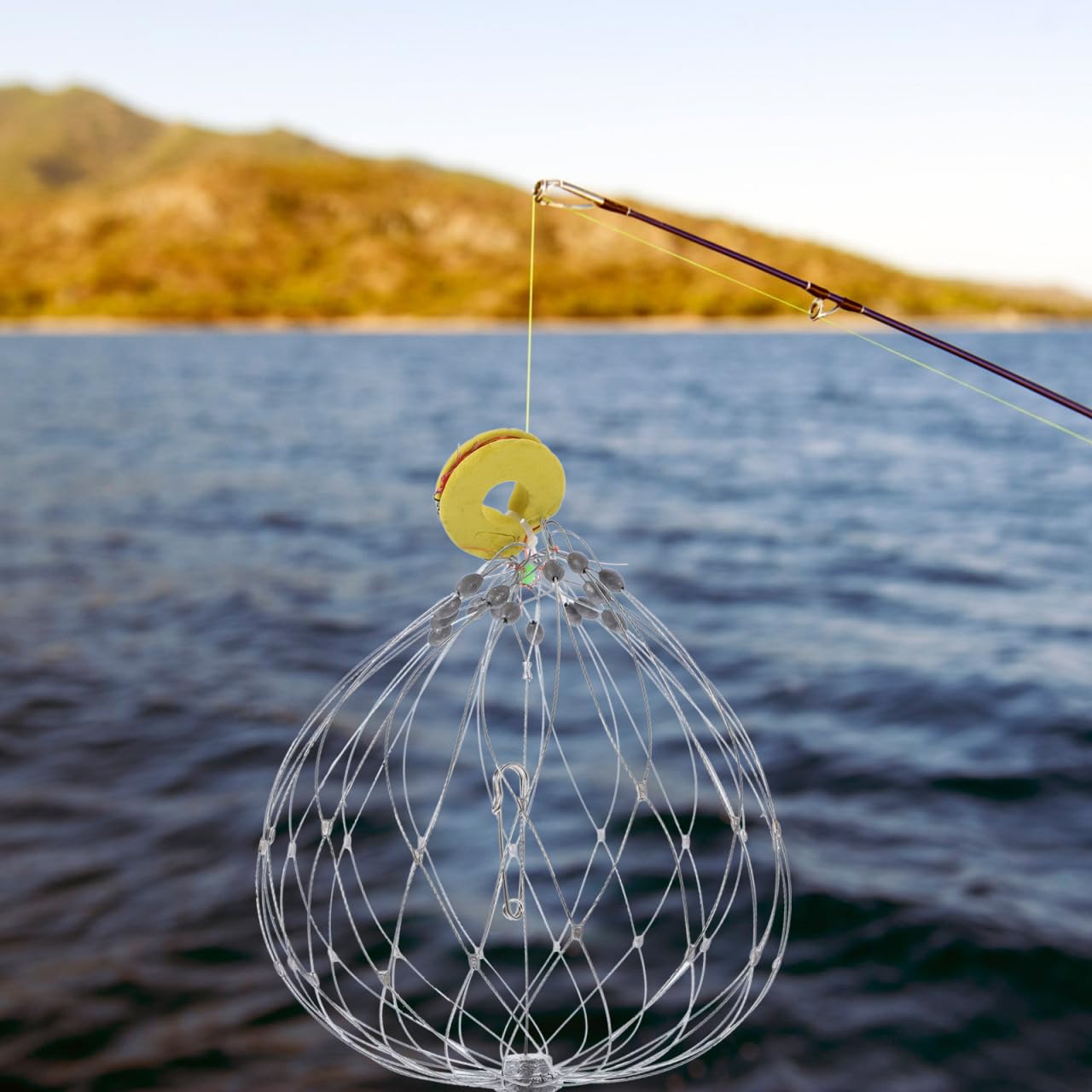 Secure crab catching trap capturing crabs