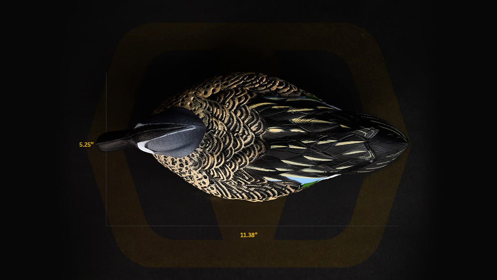 Heyday Blue Wing Teal decoy floating scene on calm water.