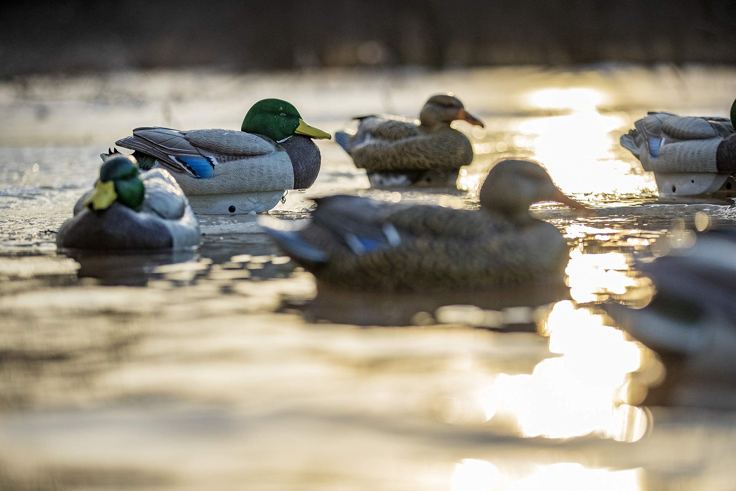 Heyday by Lifetime Decoys flocked design realism boosts lure.