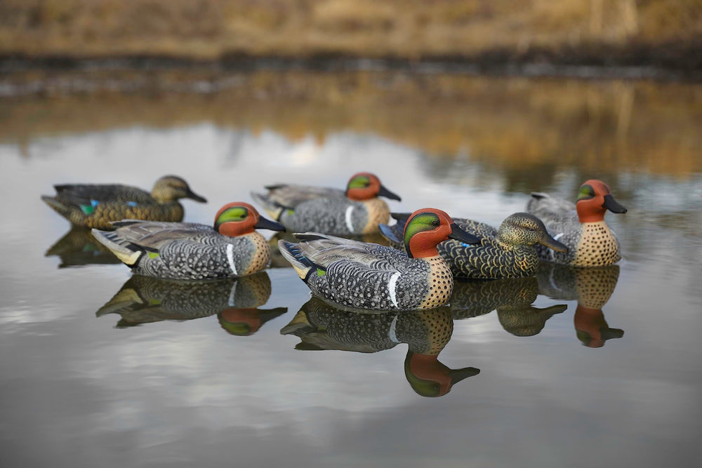 Heyday Green Wing Teal decoys realistic pose for authentic setups.