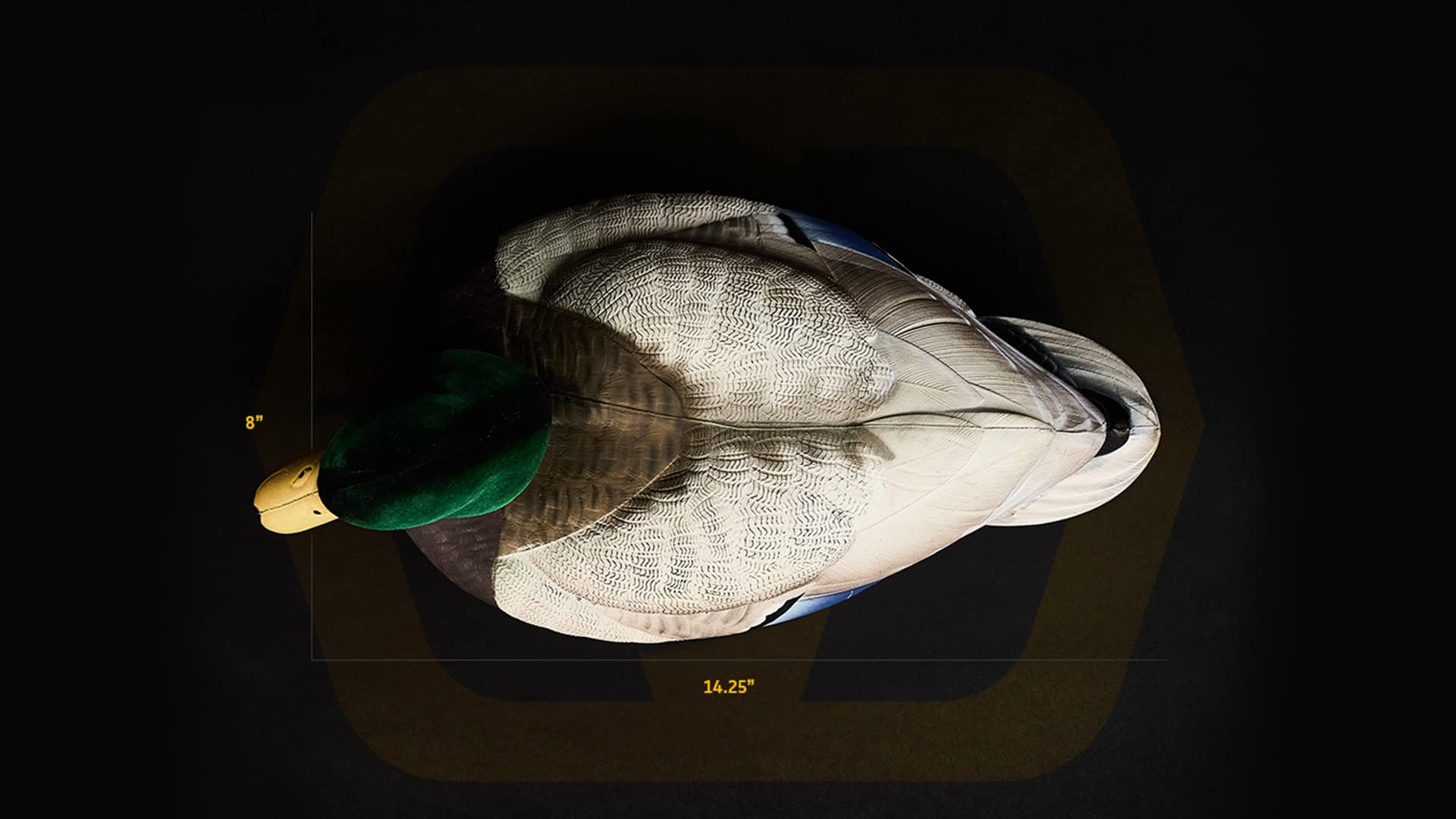 Heyday by Lifetime Decoys HydroFoam close-up texture highlights realism.