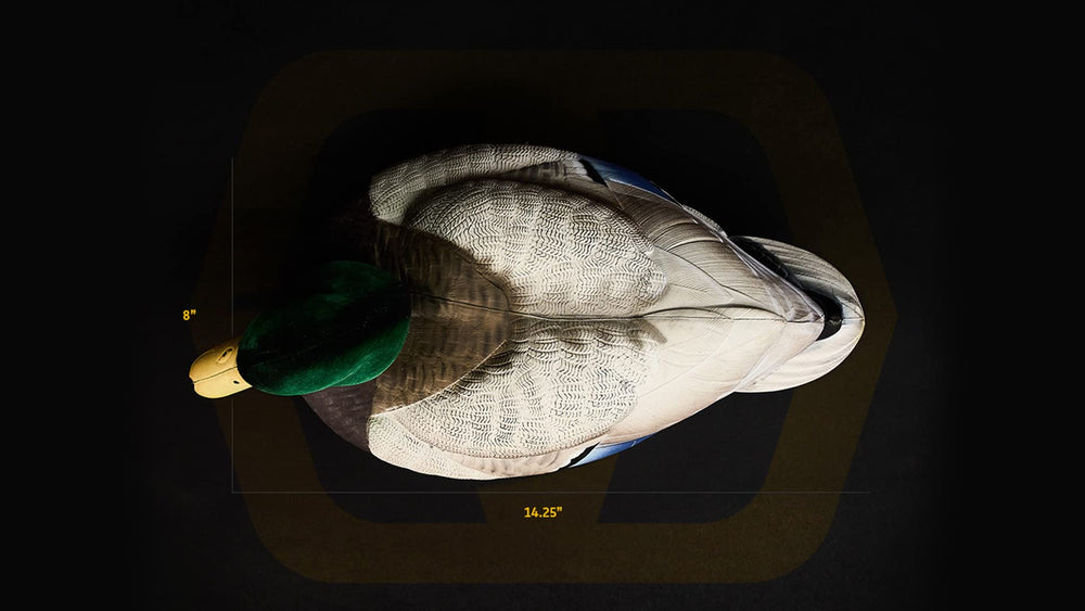 Heyday by Lifetime Decoys HydroFoam close-up texture highlights realism.