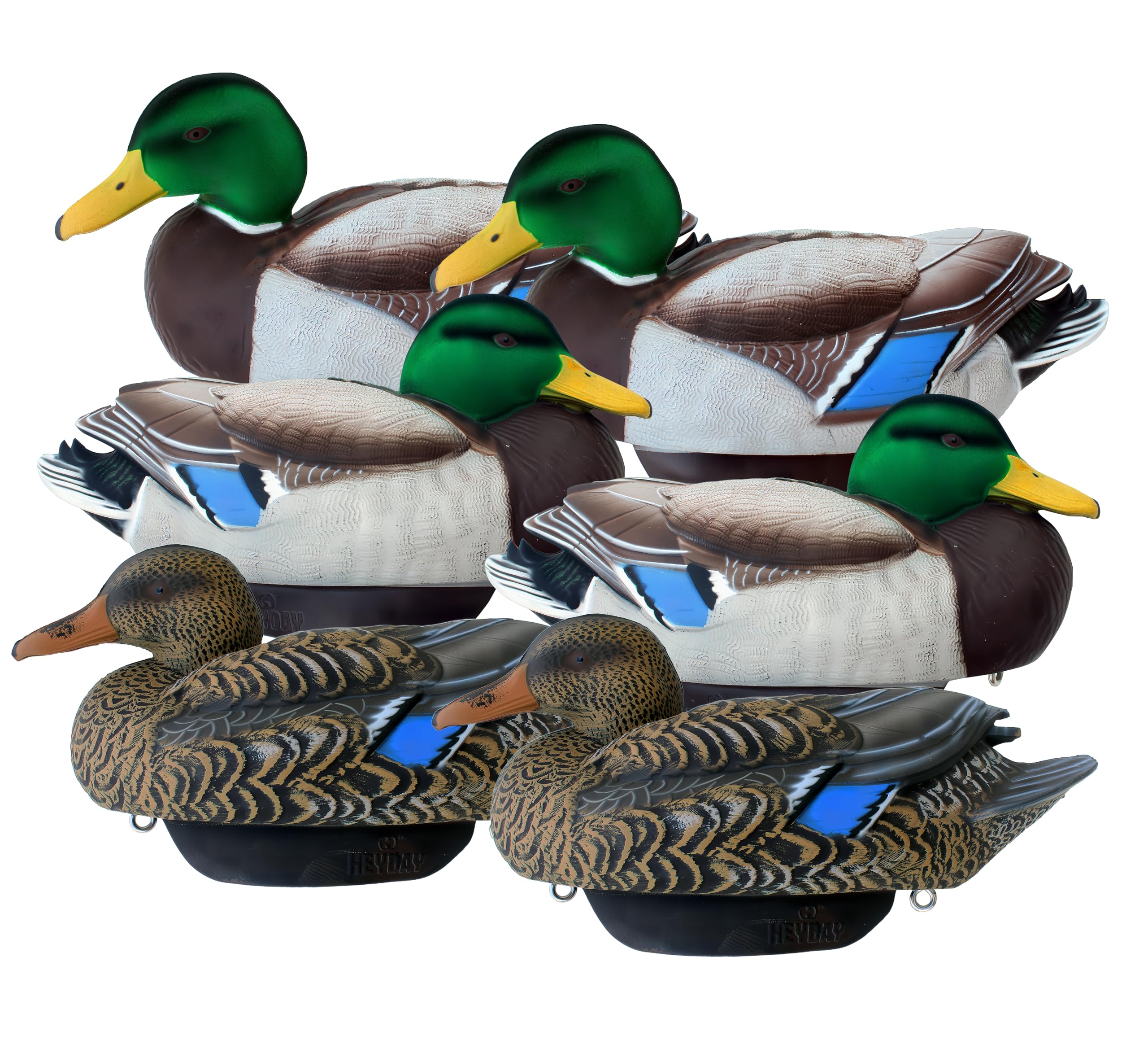 Heyday by Lifetime Decoys HydroFoam mallard decoys float quietly with realism.