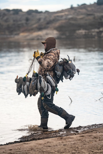 HEYDAY Mallard active drakes six-pack imagery highlights variety