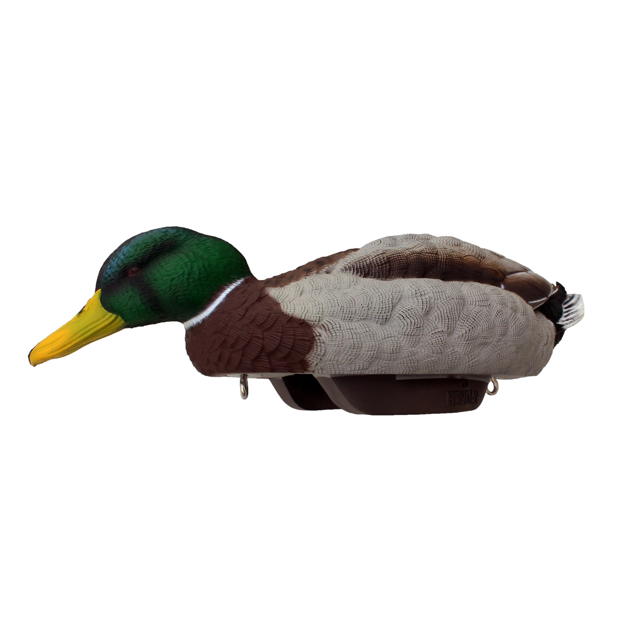 HEYDAY Mallard removable UpRight weights for quick setup
