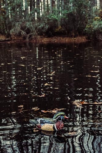 HEYDAY Wood Duck Decoys HollowCore construction emphasizes durability and light weight