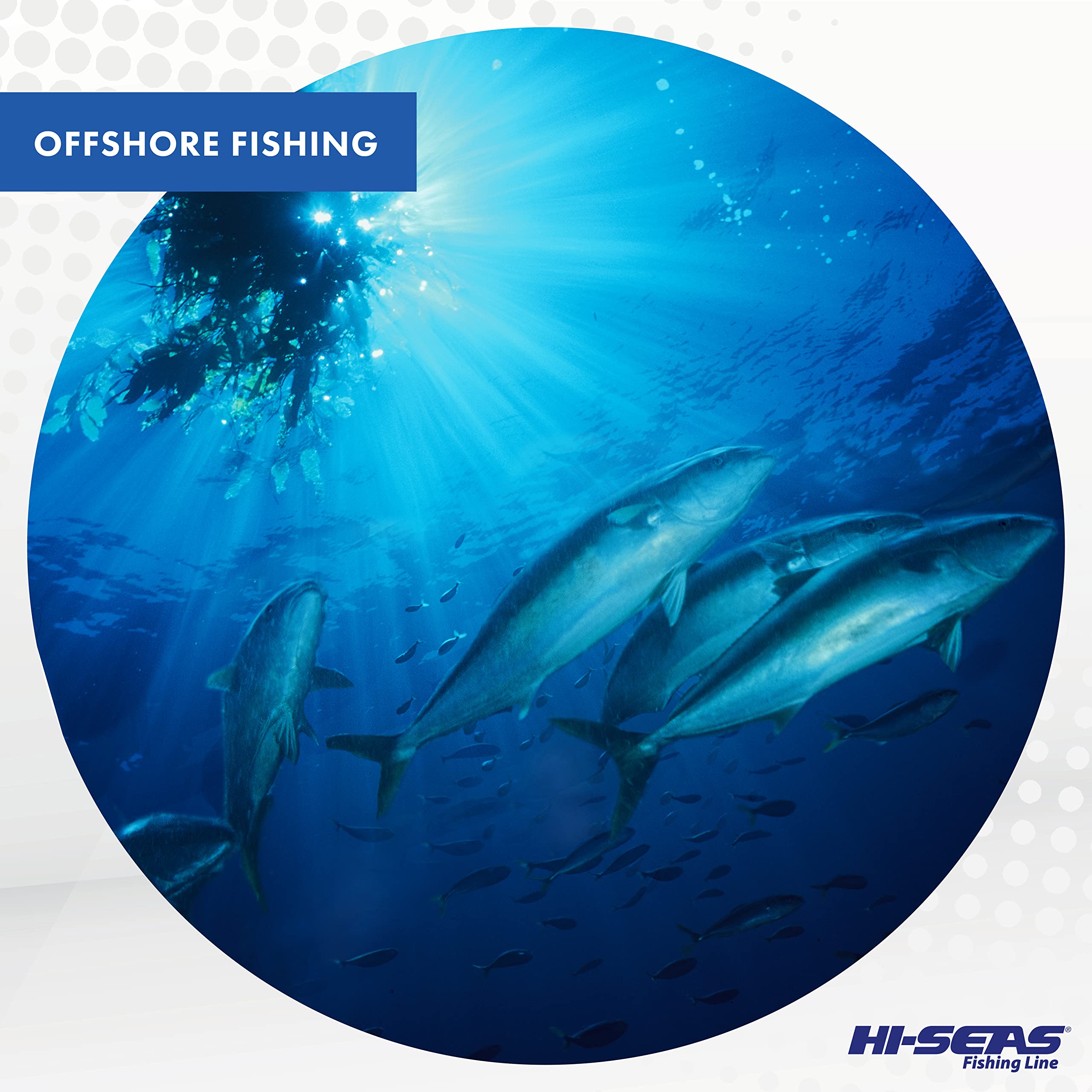 Hi-Seas Quattro line's abrasion resistance supports reef and structure fighting.