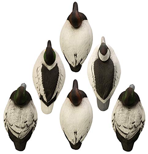 Higdon Outdoors Diver Pack UV-painted, durable decoys with detailed feathering.