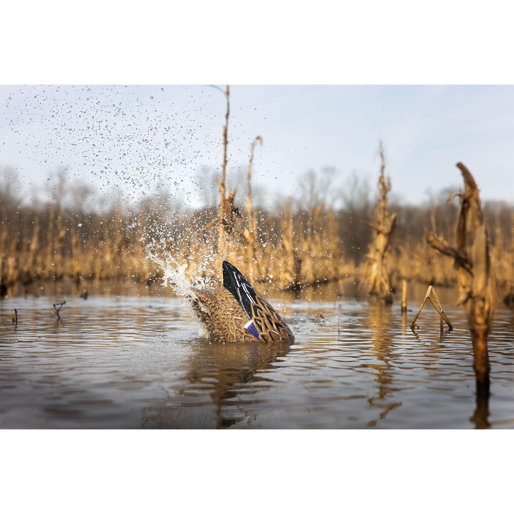 Higdon Outdoors Pulsator PRO Pump design enhances durability and water displacement for consistent action.