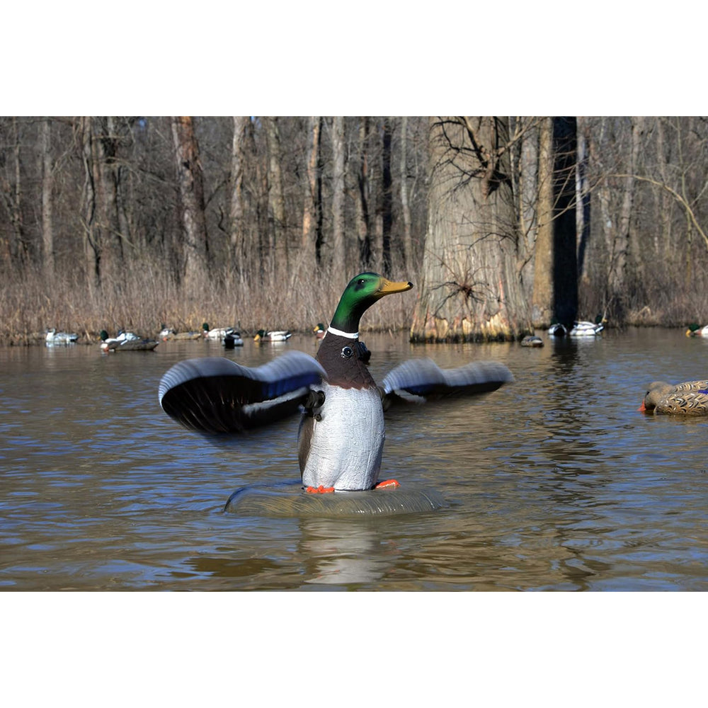 Higdon Outdoors XS high-contrast flash helps draw attention in choppy water