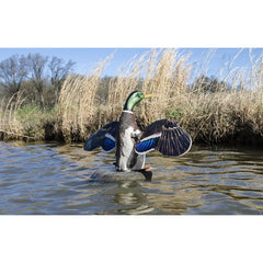 Higdon Outdoors XS motion decoy wings flapping to attract wary ducks at long range