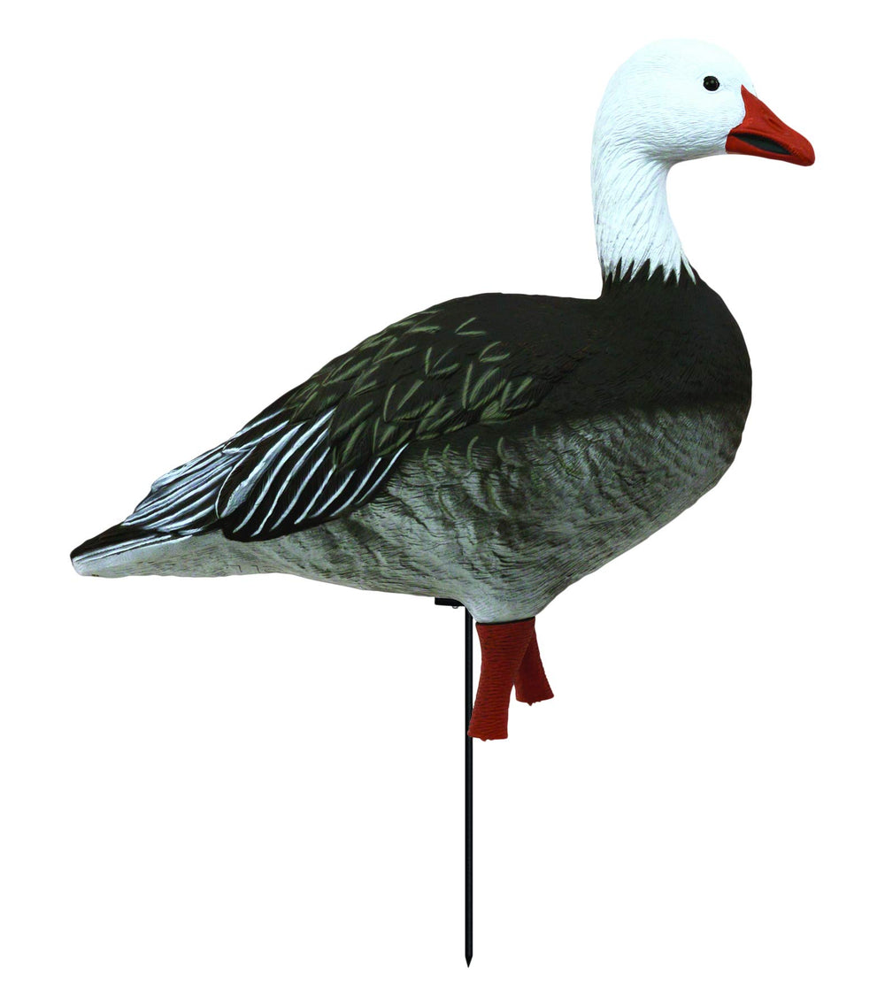 Blue goose decoys from Higdon APEX spread deployed in a field