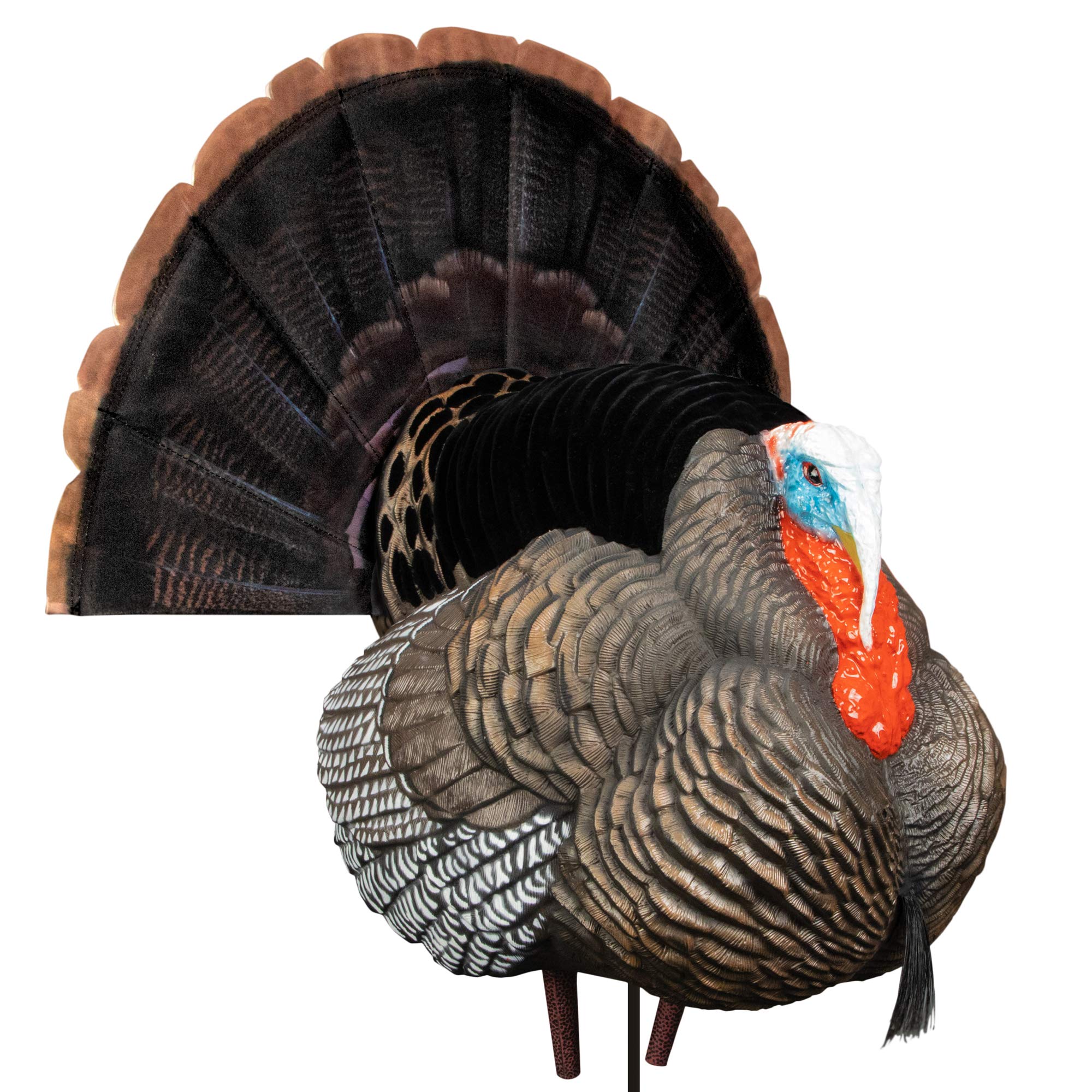 Higdon Apex full strut tom decoy for realistic turkey engagement