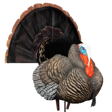 Higdon Apex full strut tom decoy for realistic turkey engagement