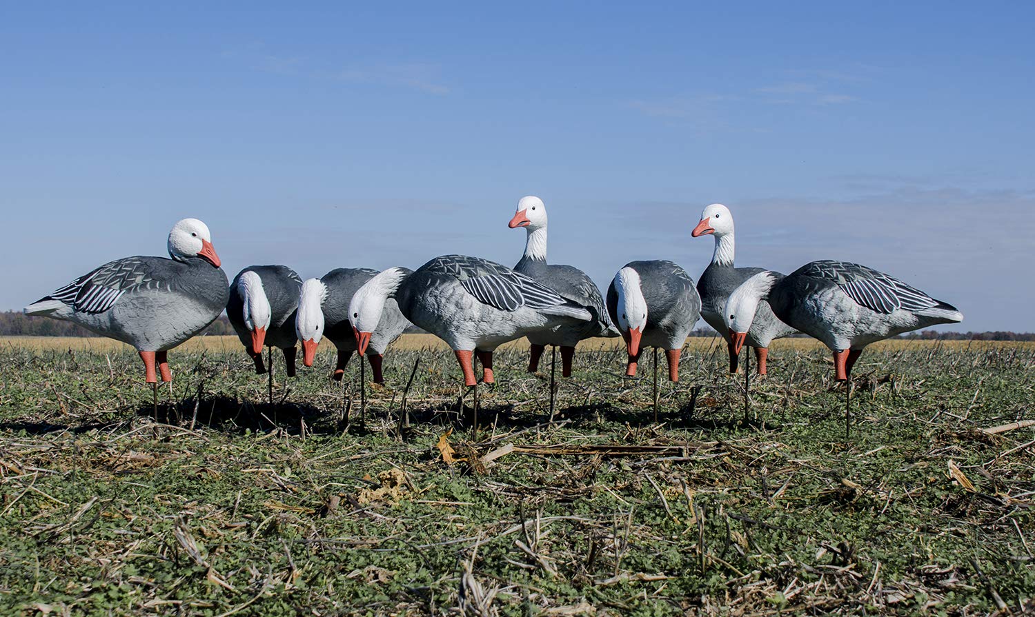 Higdon APEX goose feeder decoy front view highlighting feather texture