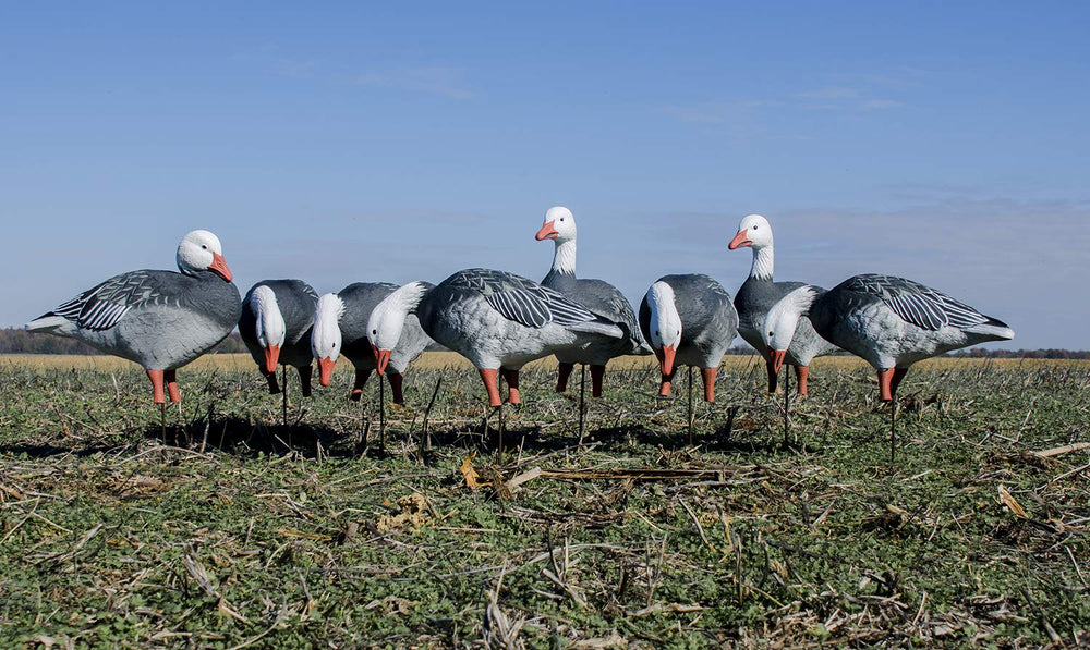 Higdon APEX goose feeder decoy front view highlighting feather texture