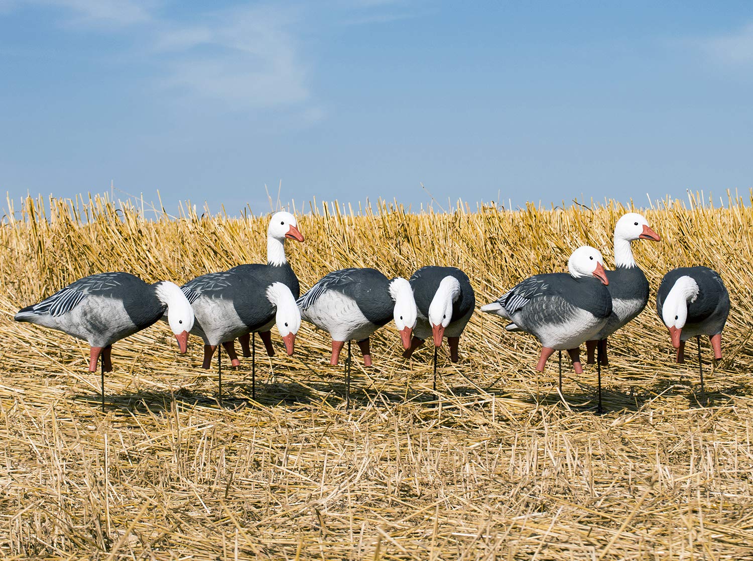 Higdon APEX goose feeder decoy shown from the side for lifelike posture