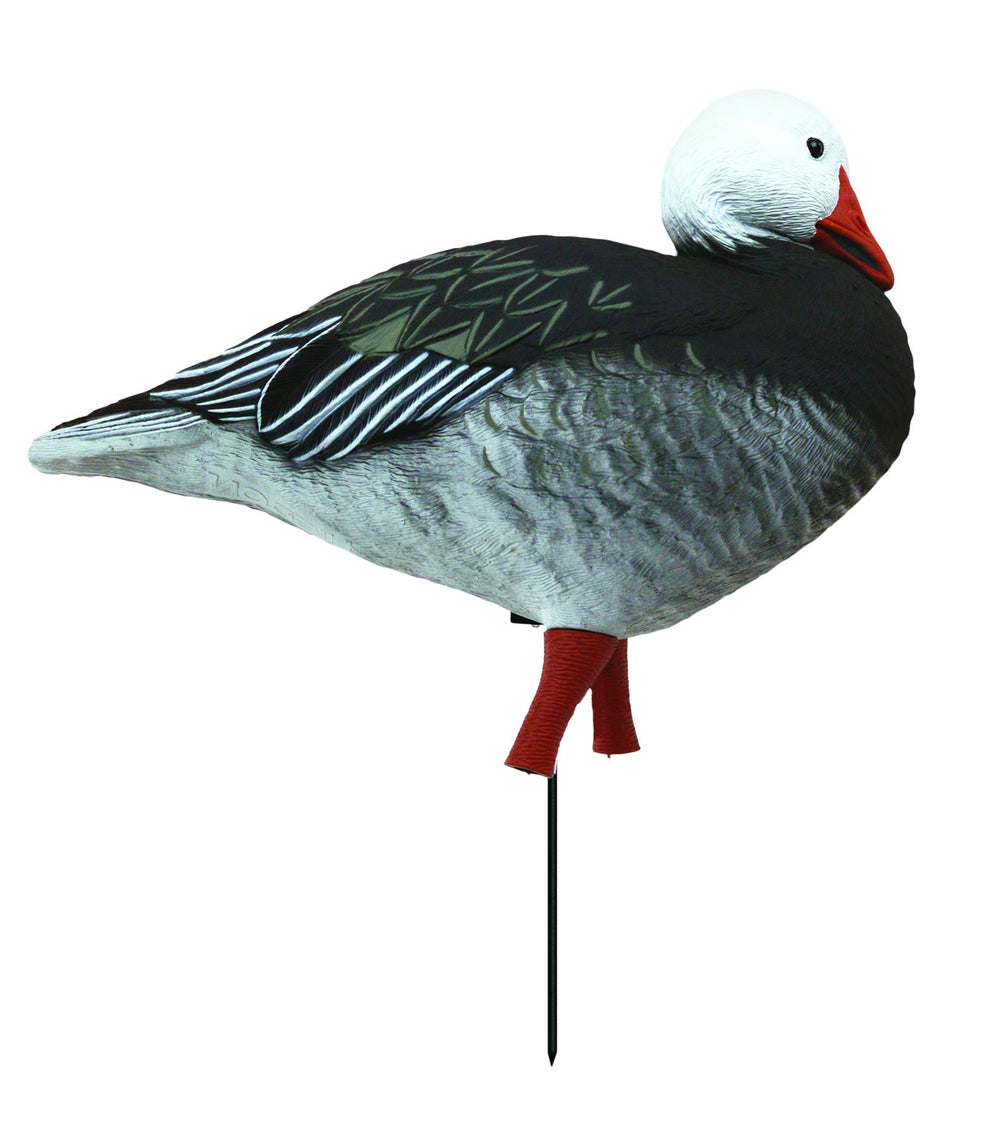 Stackable design of Higdon APEX goose decoys for easy transport and storage